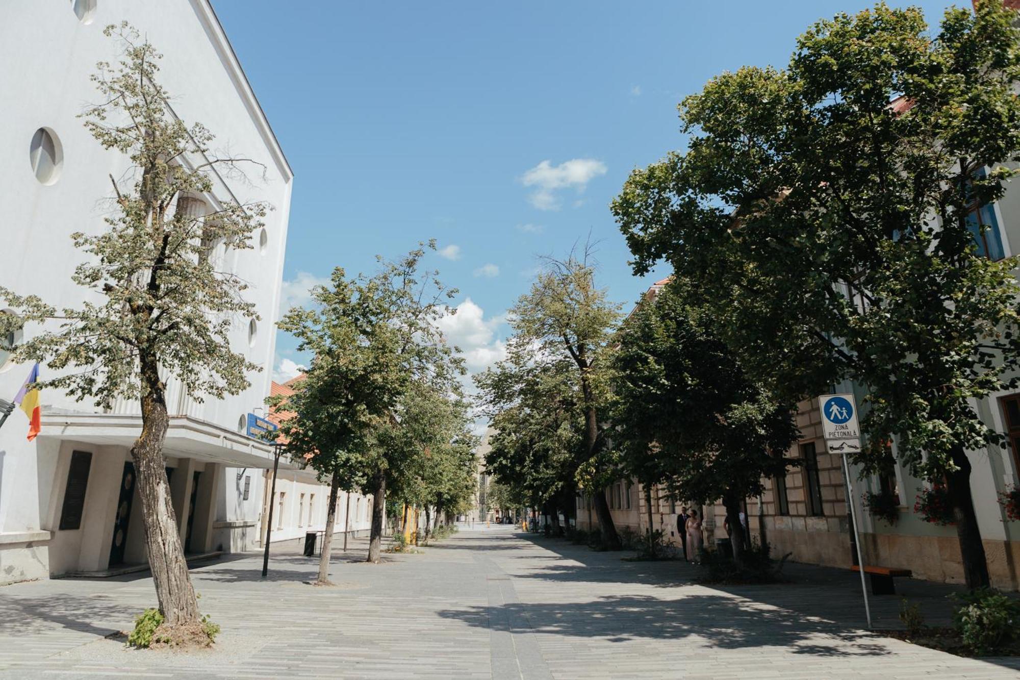 Contessa Apartment Cluj Napoca מראה חיצוני תמונה