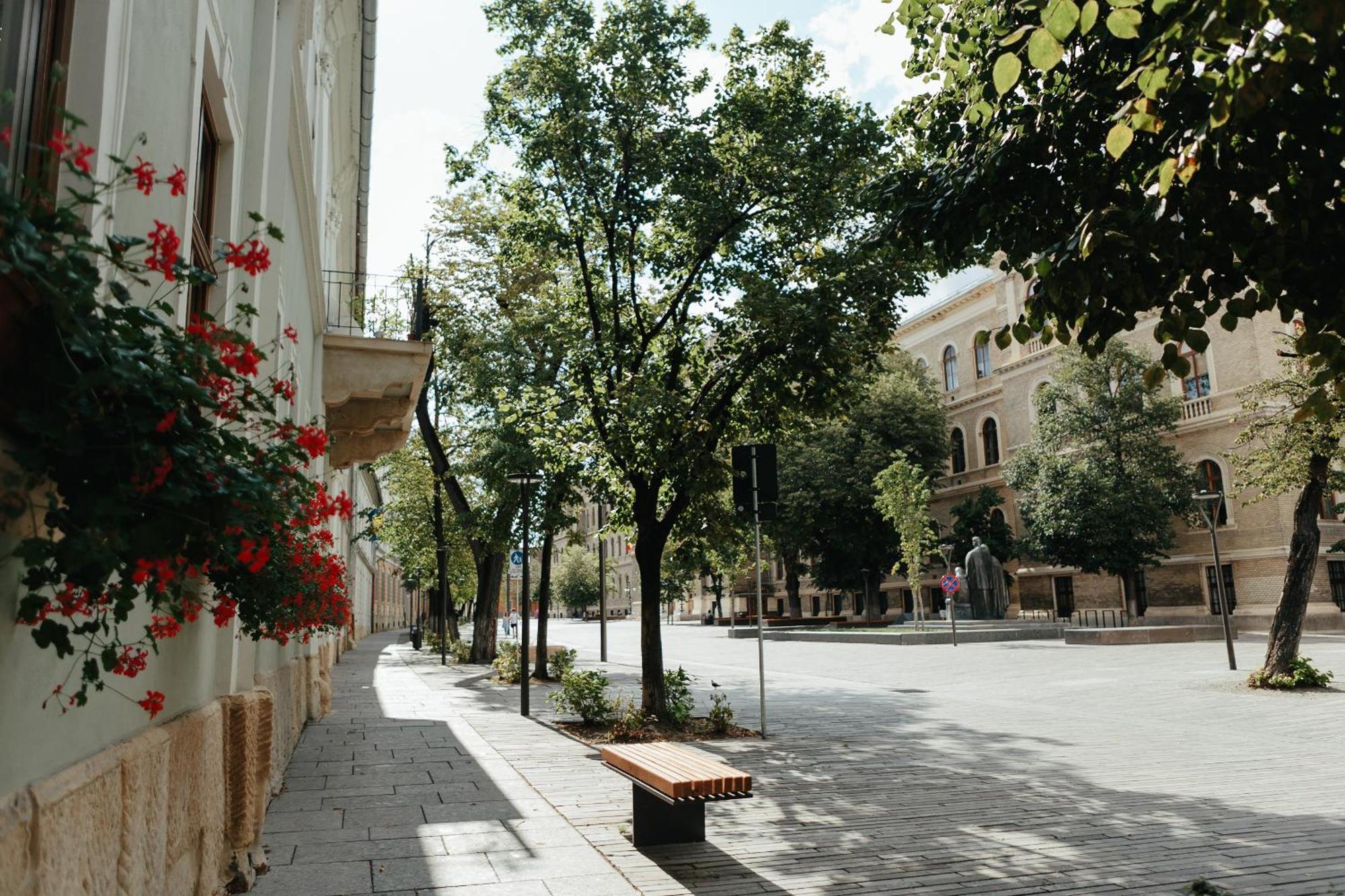 Contessa Apartment Cluj Napoca מראה חיצוני תמונה