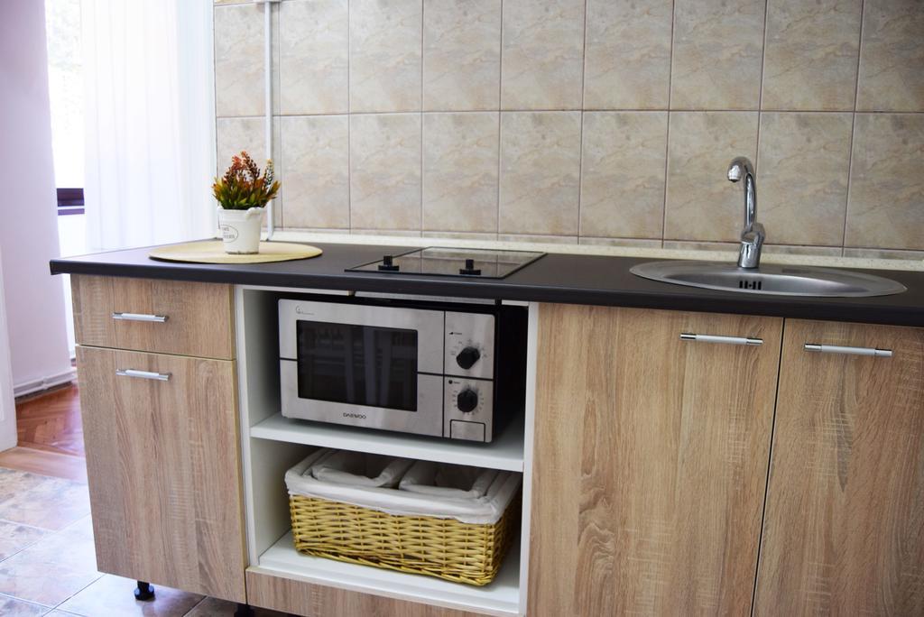 Contessa Apartment Cluj Napoca מראה חיצוני תמונה