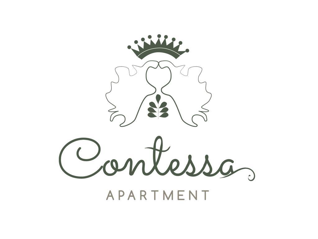 Contessa Apartment Cluj Napoca מראה חיצוני תמונה