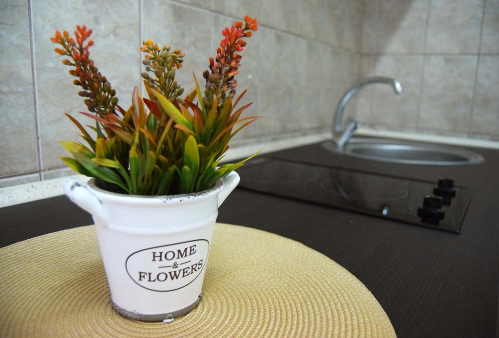 Contessa Apartment Cluj Napoca מראה חיצוני תמונה