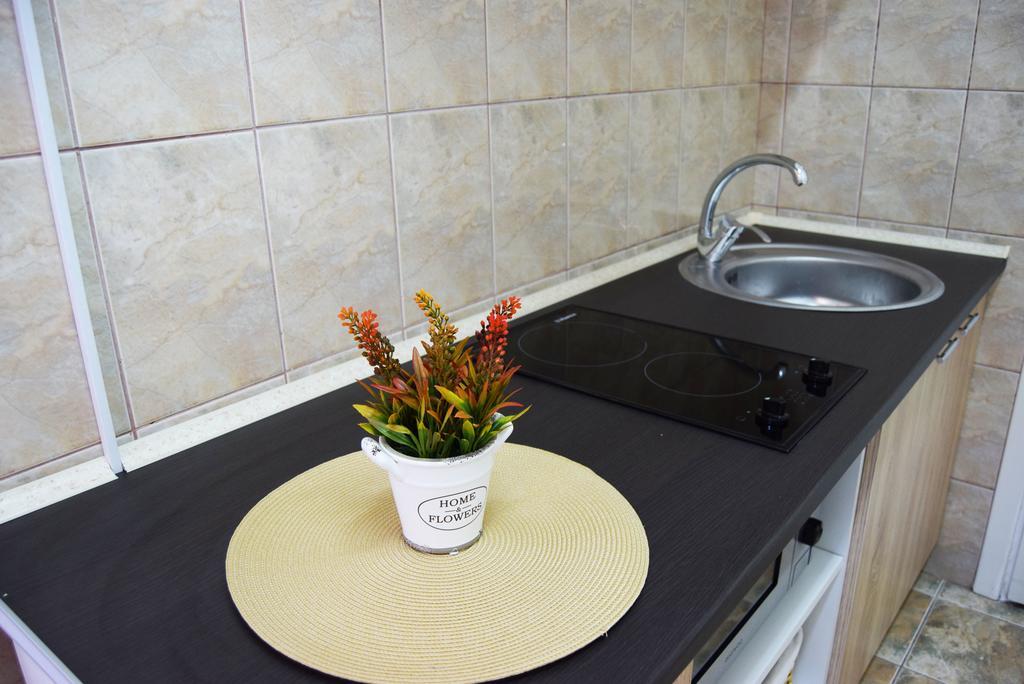 Contessa Apartment Cluj Napoca מראה חיצוני תמונה