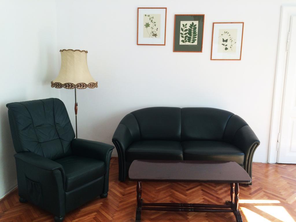 Contessa Apartment Cluj Napoca מראה חיצוני תמונה